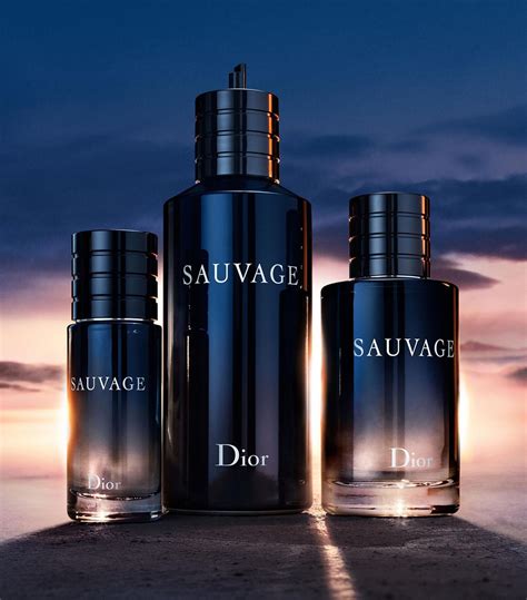 sauvage dior donna prezzo 100 ml|Dior Sauvage 200ml price.